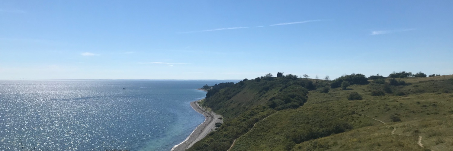 Anne Færch Nielsen banner