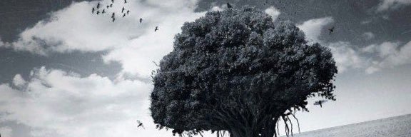 SlavesMasters's profile banner image