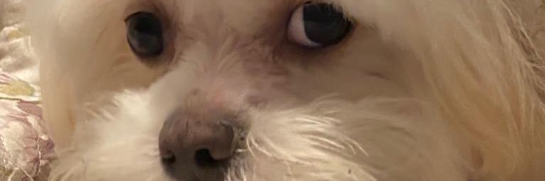 sylviiabontep's profile banner image