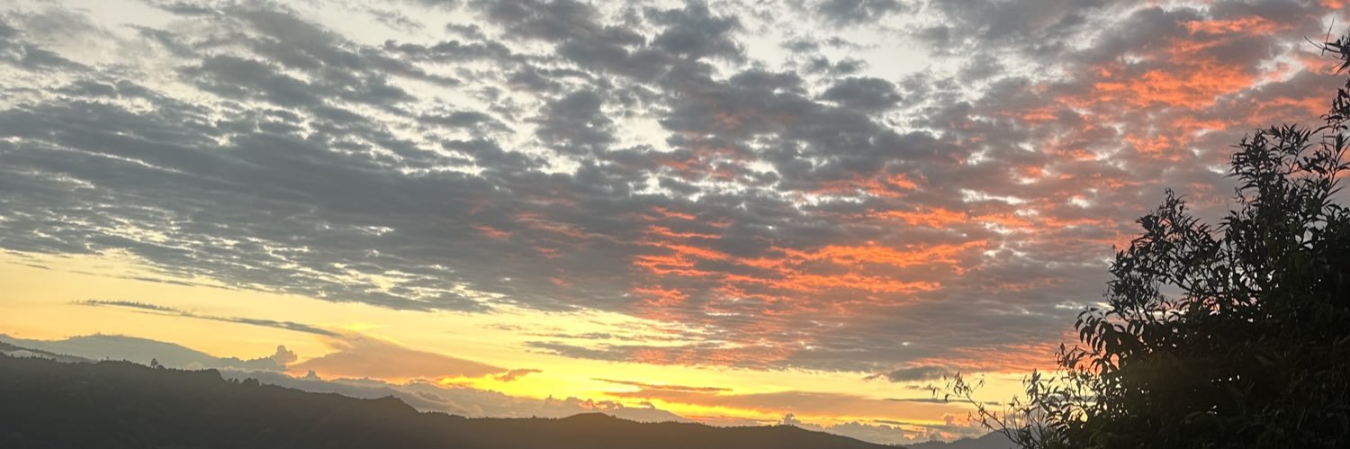 AlejoLopezR's profile banner image