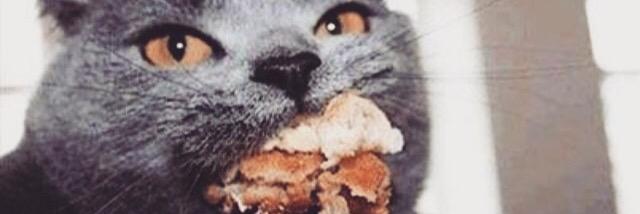 kittyroseman's profile banner image