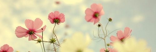 nanda7lteixeira's profile banner image