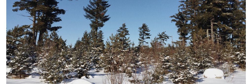 hboothtobin's profile banner image