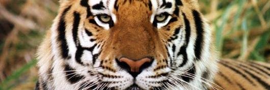 MaartenKoning01's profile banner image
