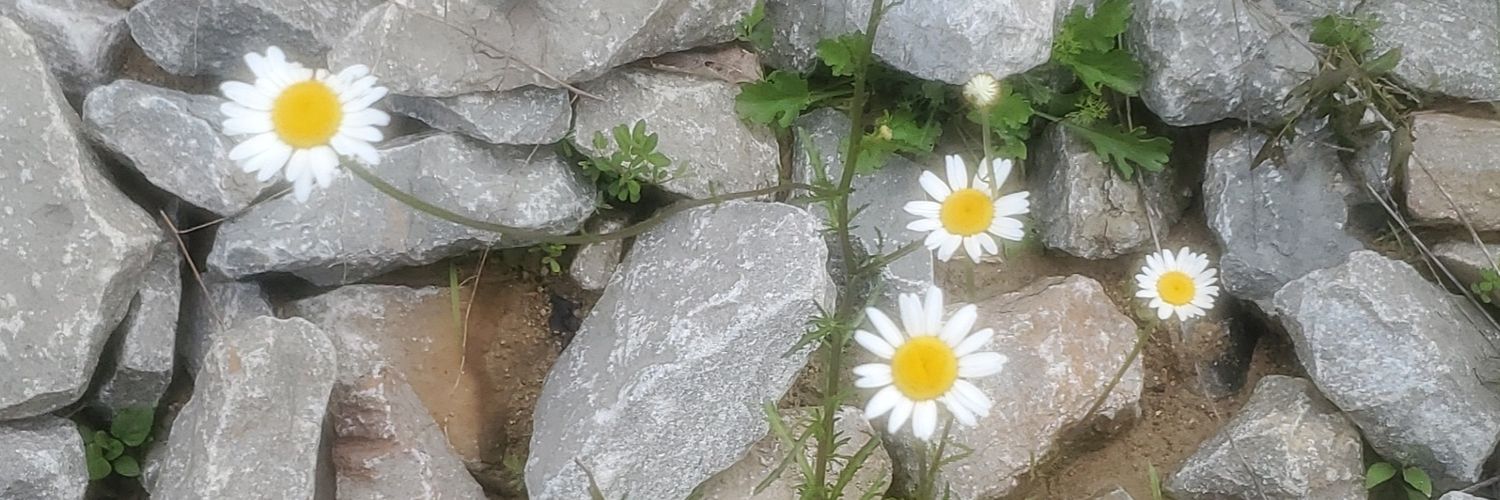 claigleregler's profile banner image