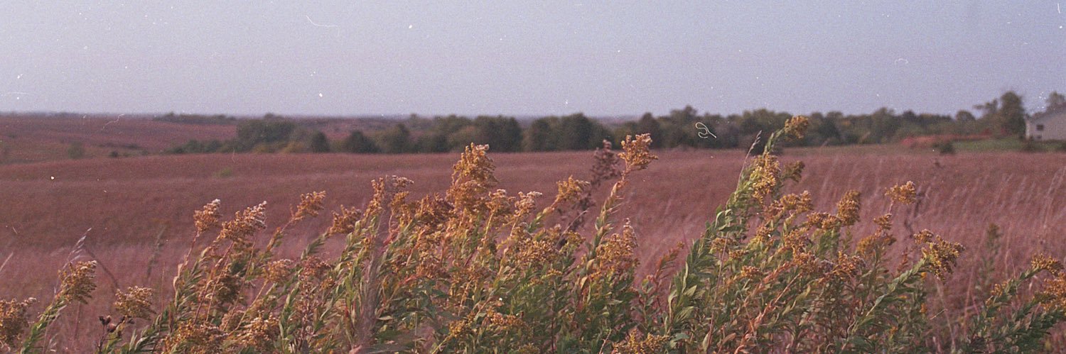 Logan fitch banner