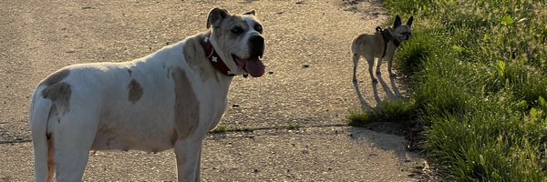 jsuk1966 Profile Banner