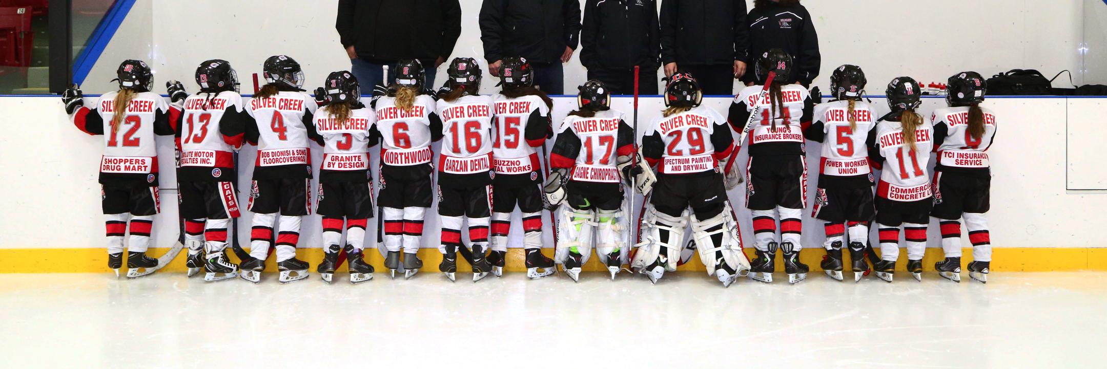 NoviceWildcats's profile banner image