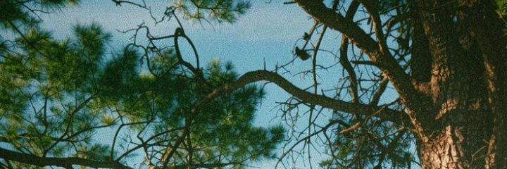 Iaraqfranco's profile banner image