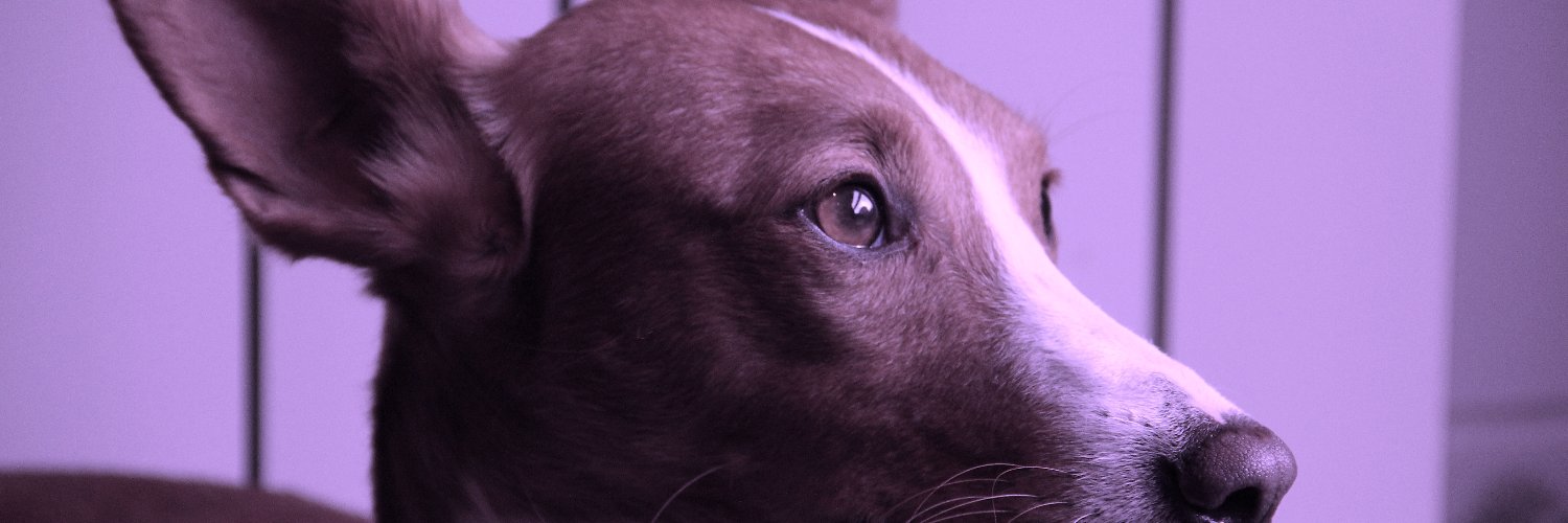 BASabadell's profile banner image