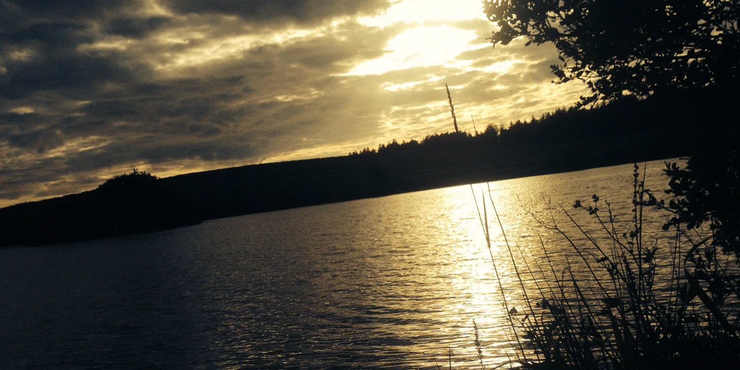 tashscfc's profile banner image