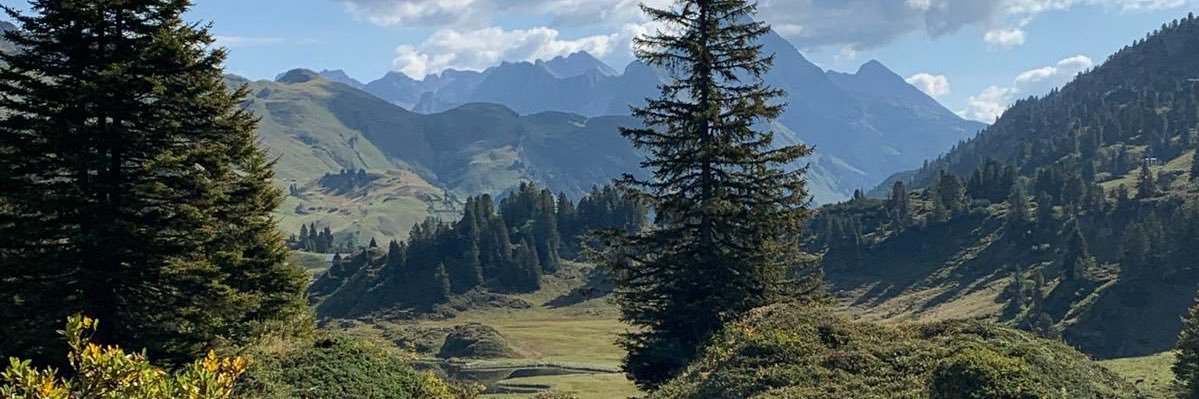 ElineHoekert's profile banner image