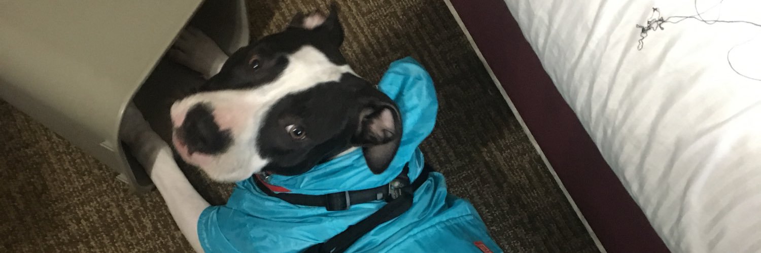 ChampagneCody's profile banner image