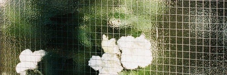 Keely 🌱 banner