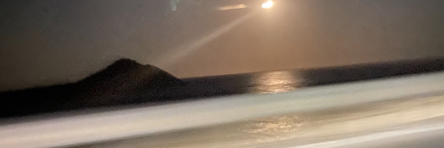 Zeynep Işık banner