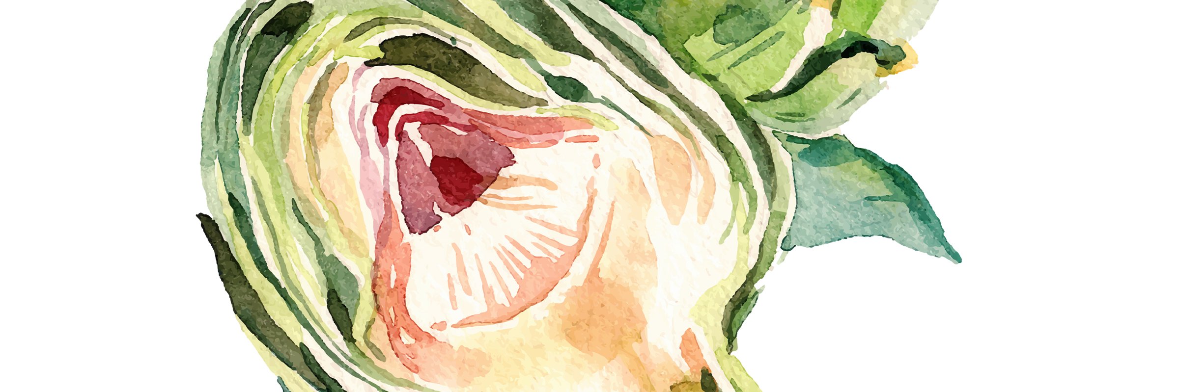 cindobux's profile banner image