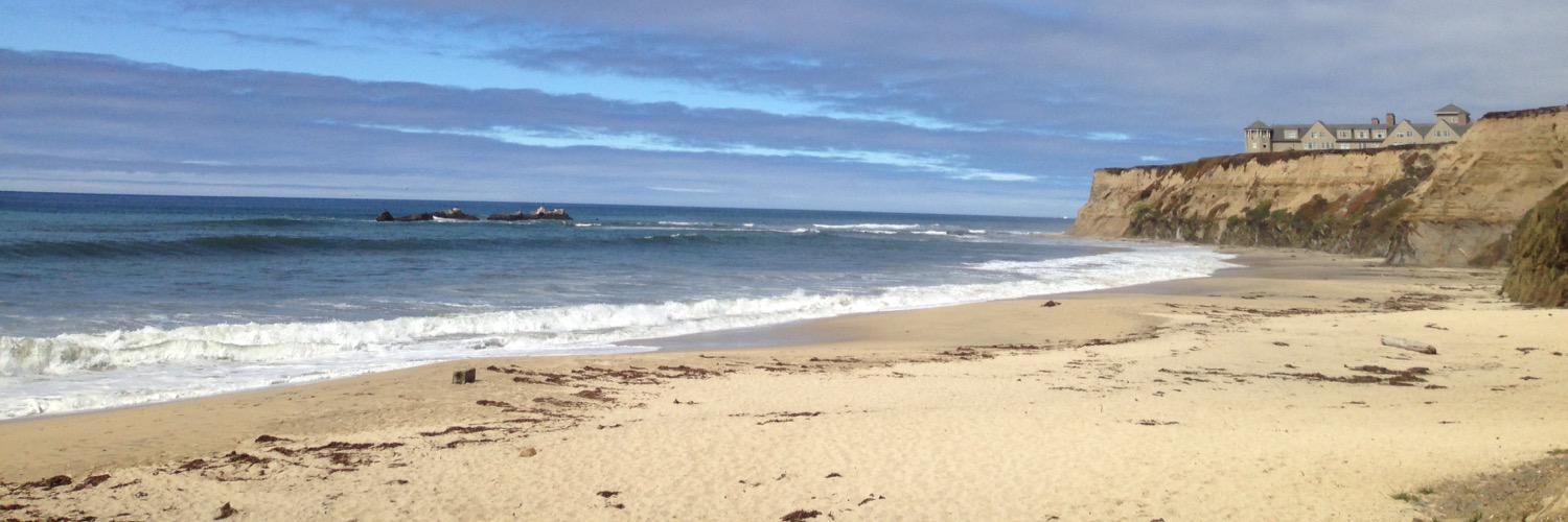 Pietro Rotbart banner