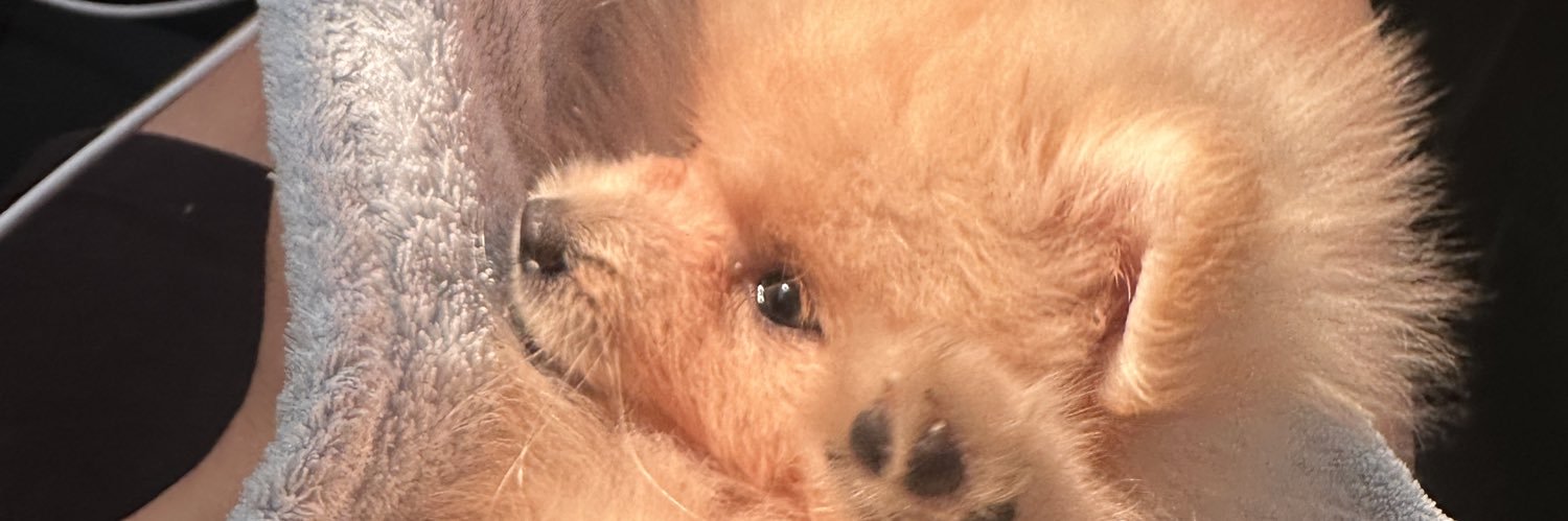Doble u✨ banner