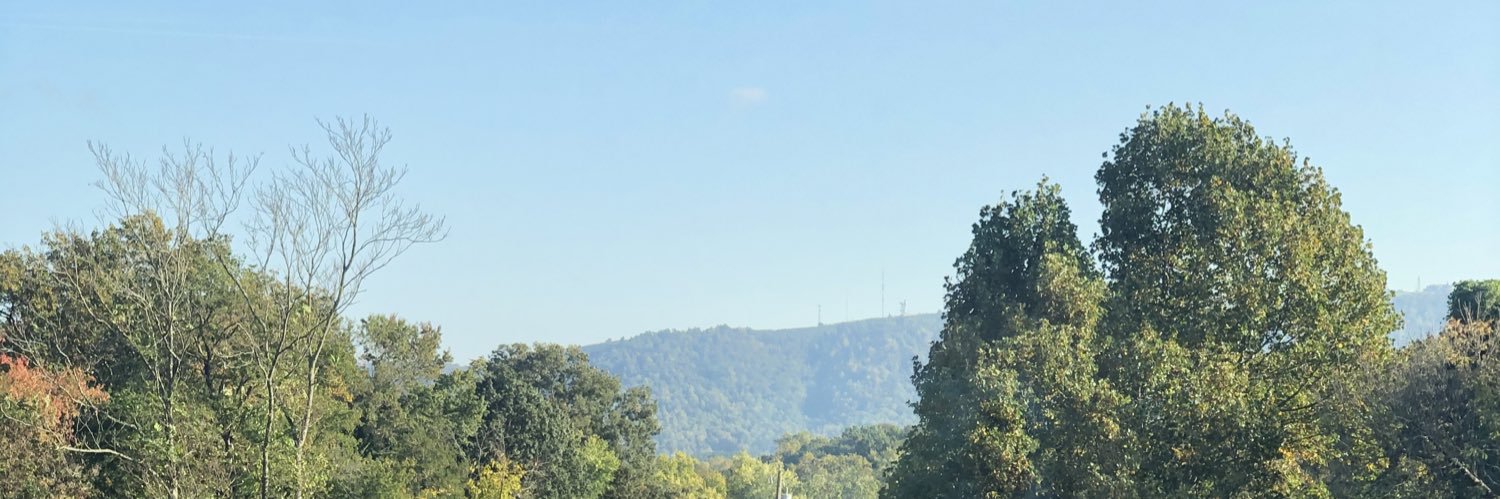caityshanes's profile banner image