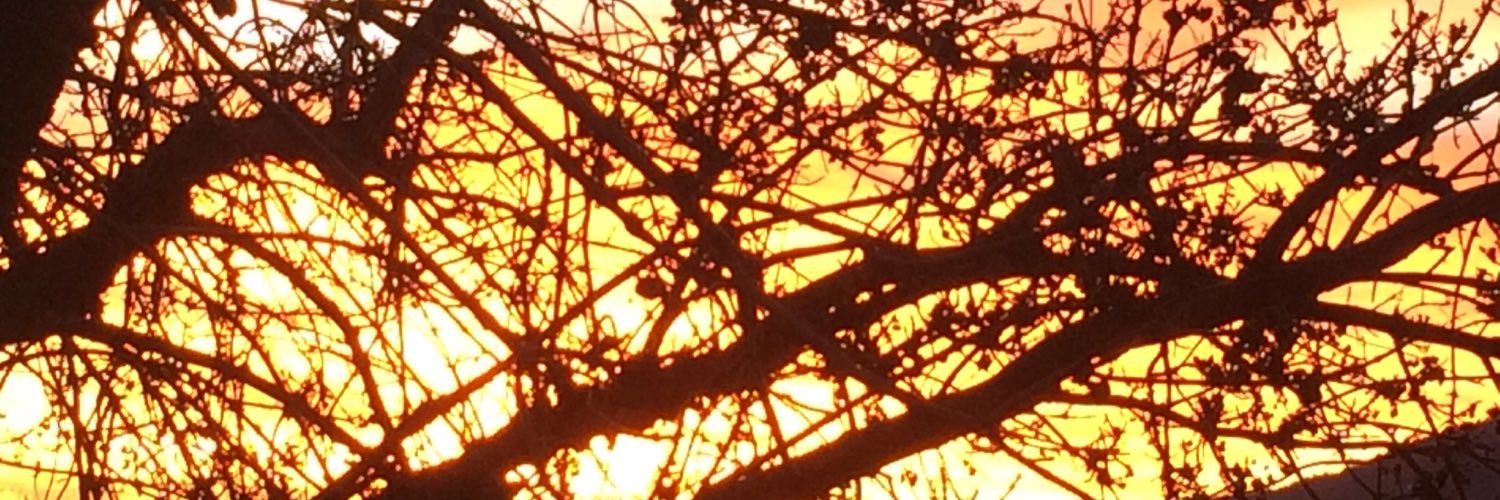 KirkStarbird's profile banner image