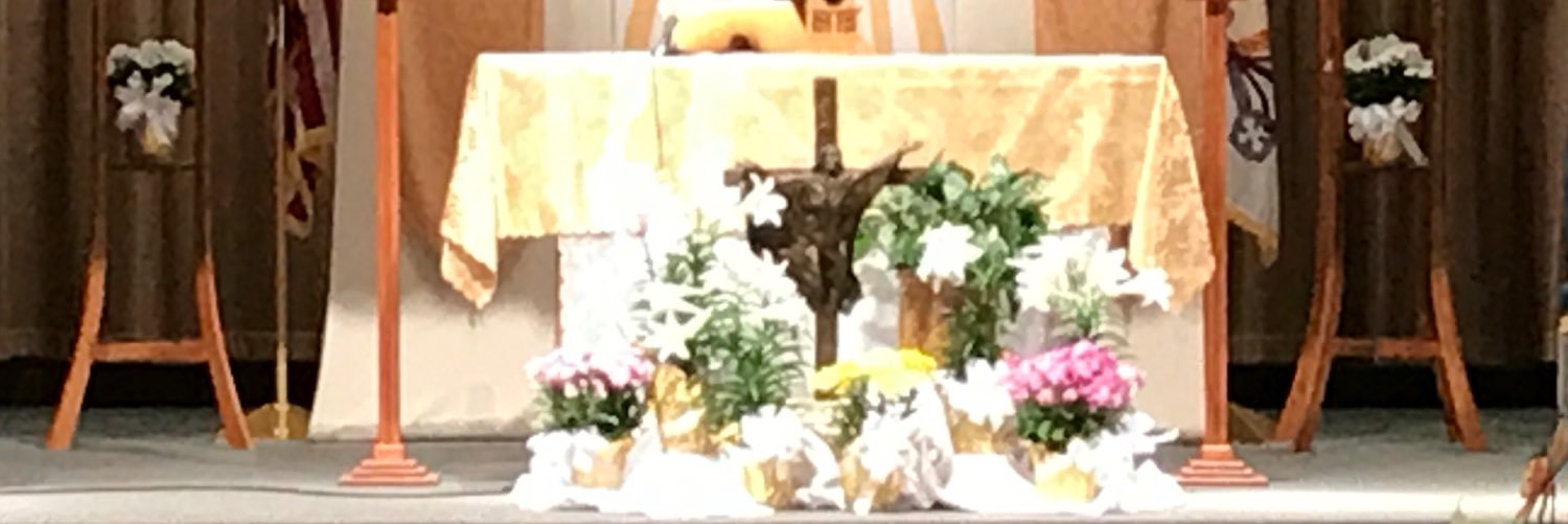 St Matthew Bellevue banner