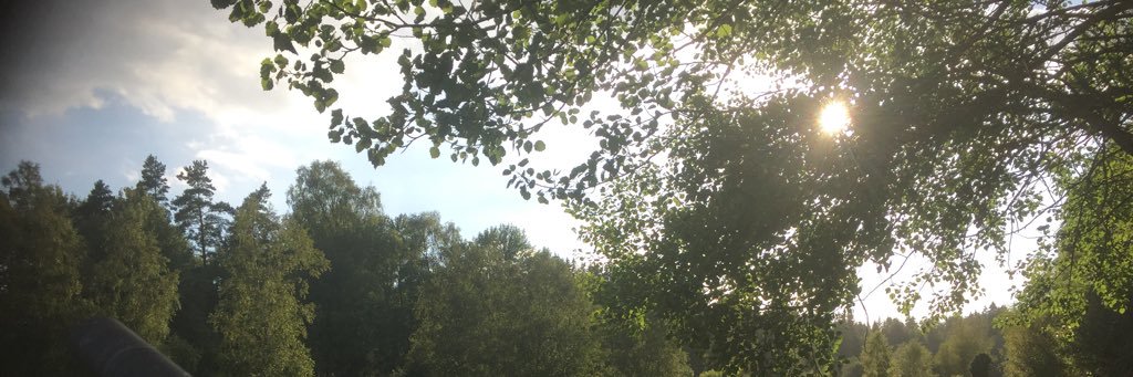 Mathias Hökfelt banner
