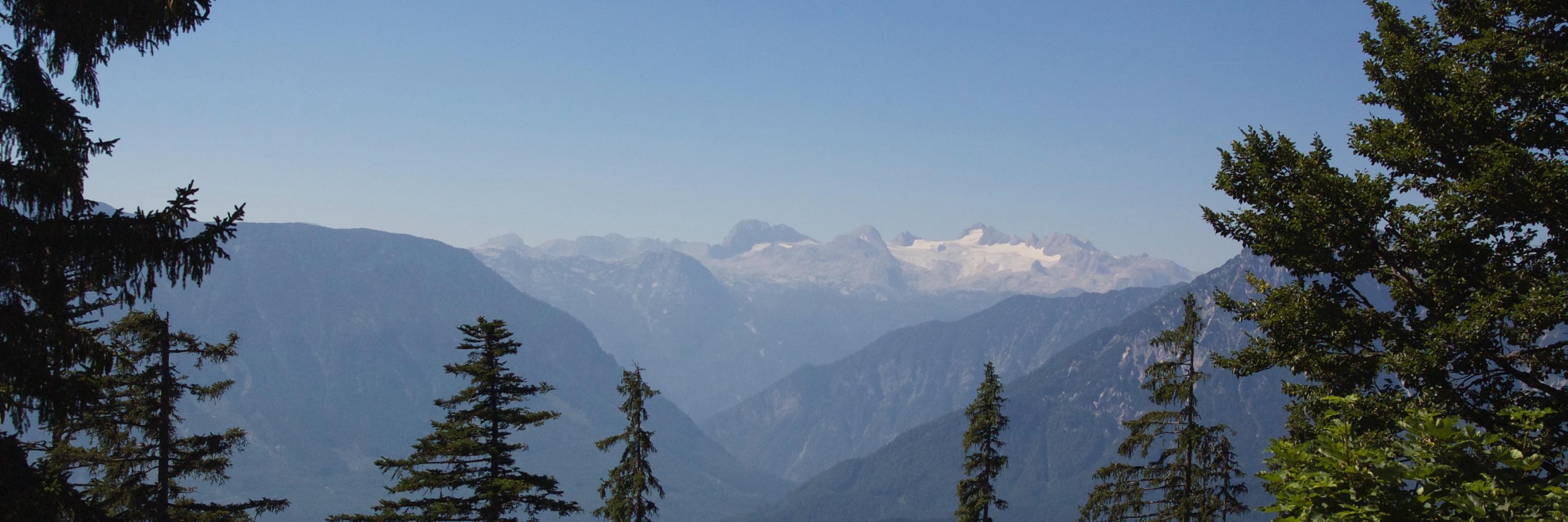 Gwyneth Machin banner