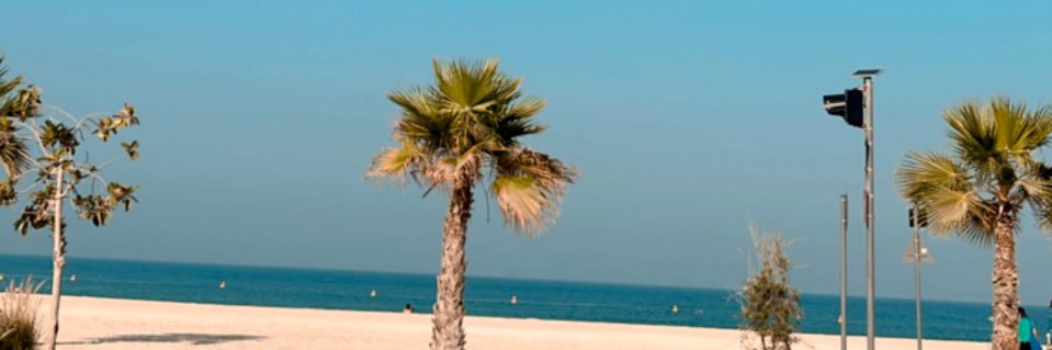 MsAsmaa_M's profile banner image