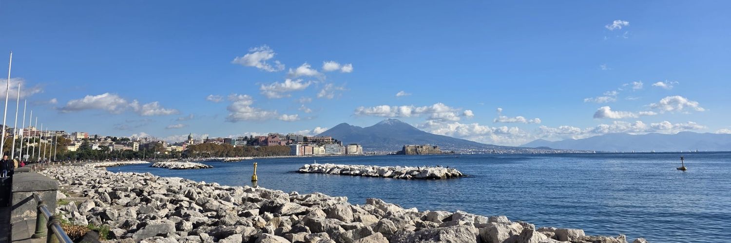 Daniela Romano banner