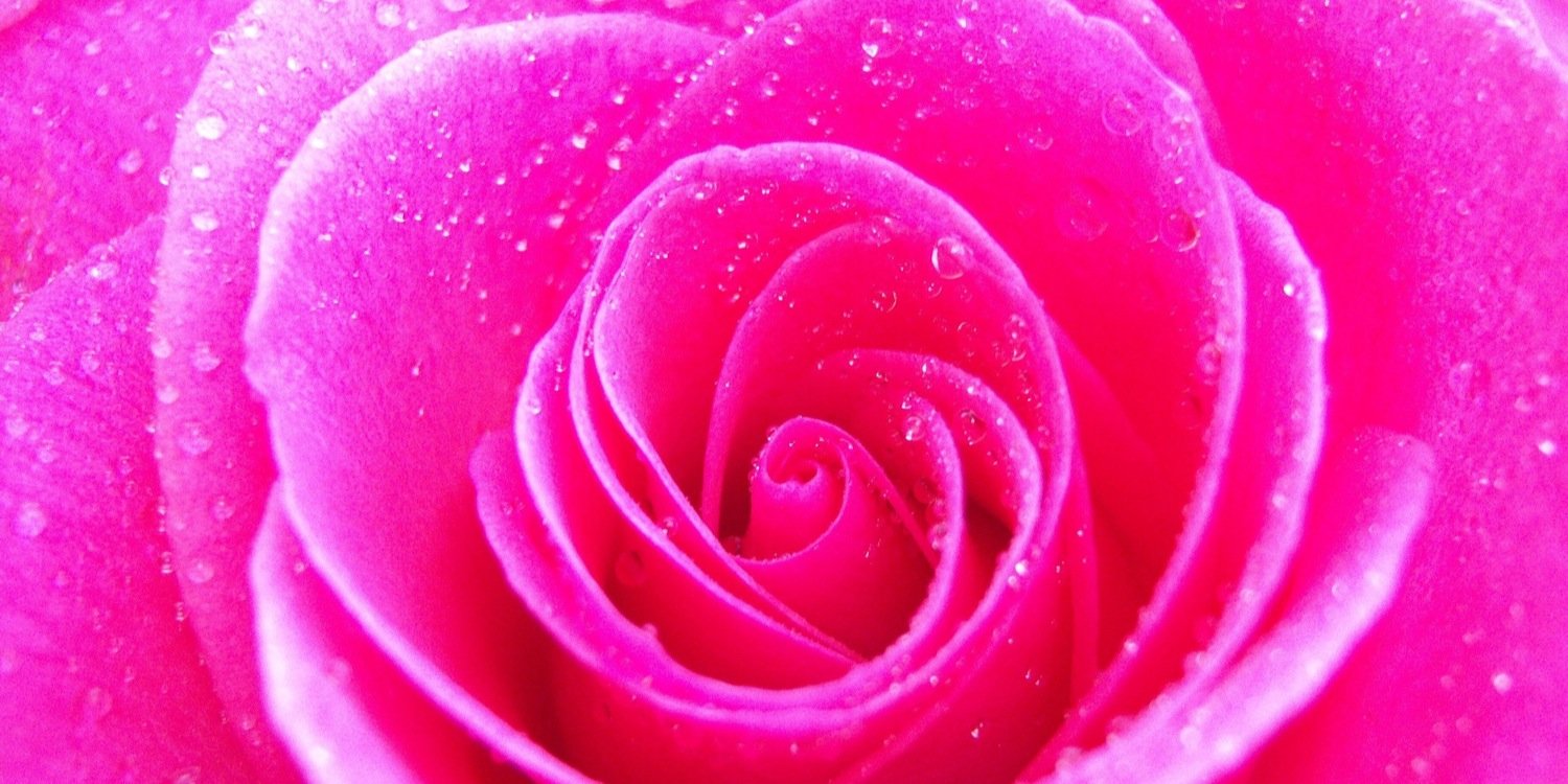 SuziApples's profile banner image