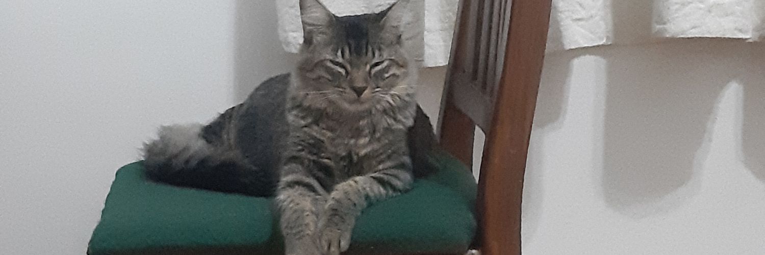 soniafrancoof's profile banner image