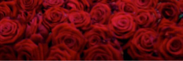 129xxer's profile banner image