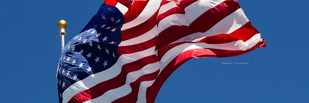 RebelRose1776's profile banner image