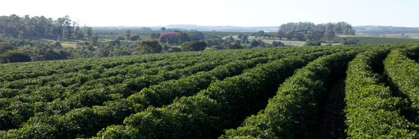 MosaicCompany Profile Banner