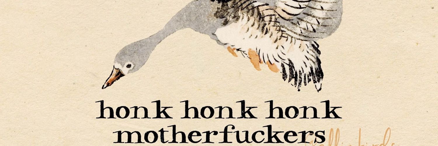 HawkeSoren's profile banner image
