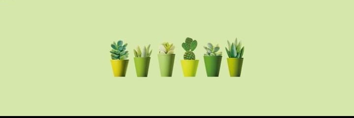 camimarquart_'s profile banner image