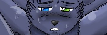 eroticafox's profile banner image