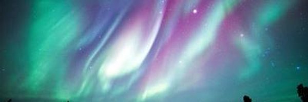 LelaMarkham Profile Banner