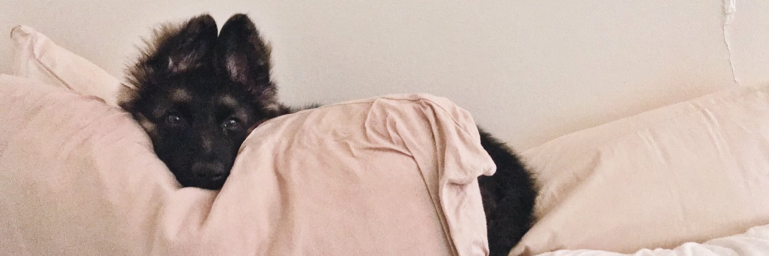 M0l1y's profile banner image