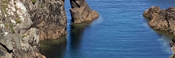 mahonmeabh Profile Banner