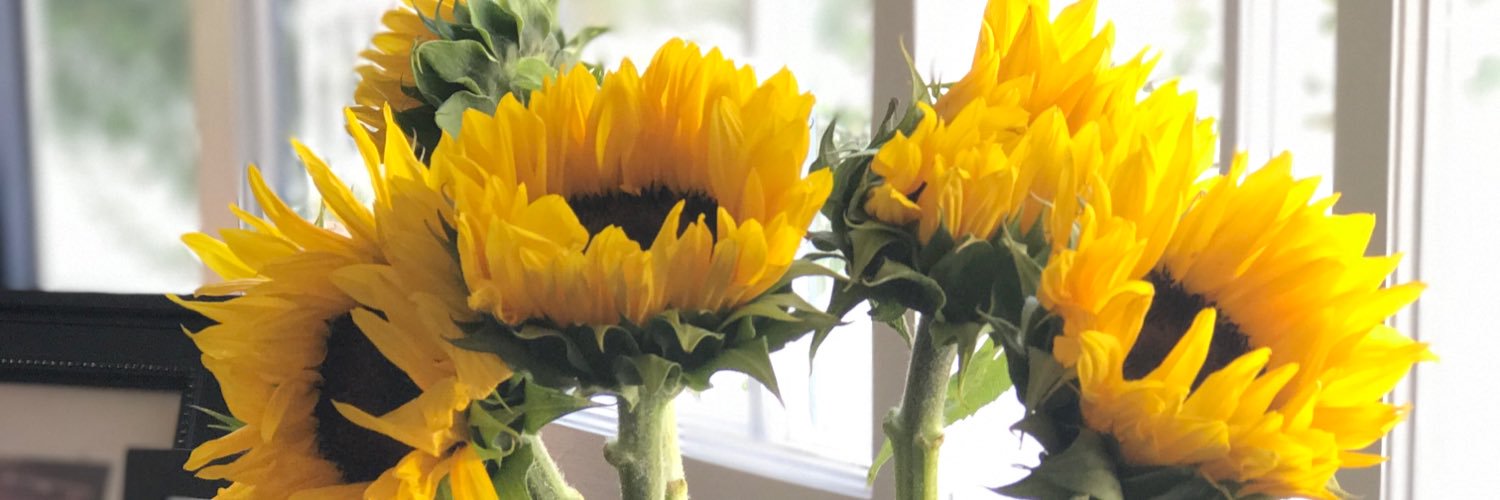 composed_living's profile banner image