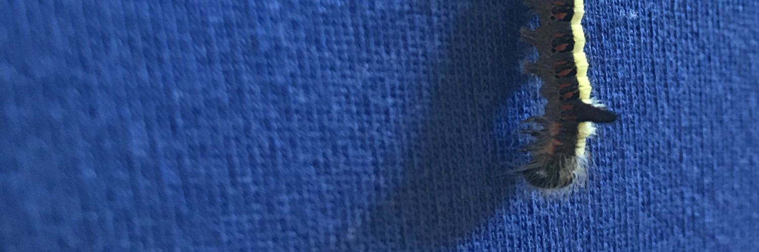 _ezreal7's profile banner image