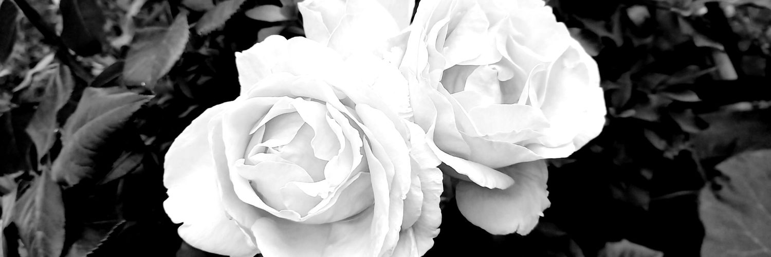 Mint_M_Macaron's profile banner image