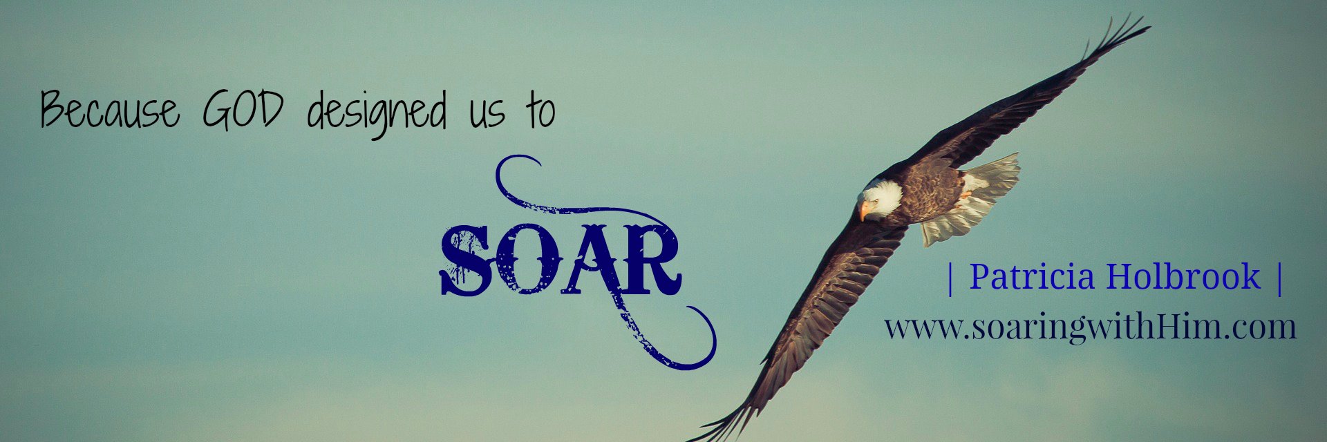 Patricia Holbrook banner