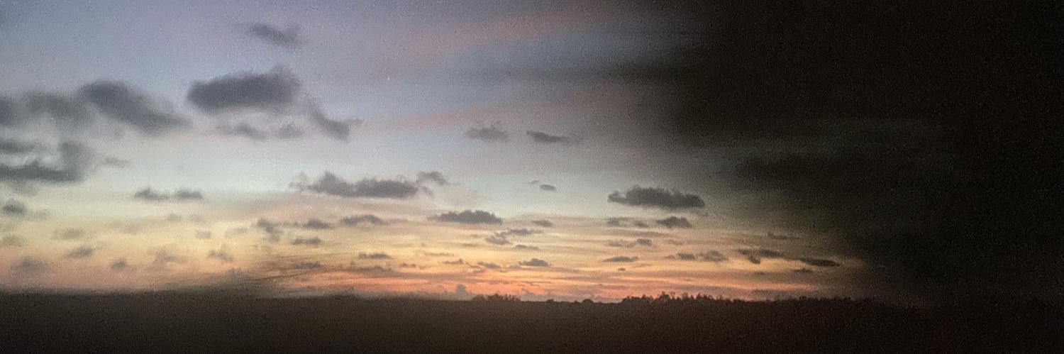 MirandaBielskii's profile banner image