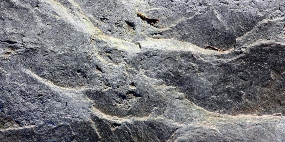 kenneth rumph banner