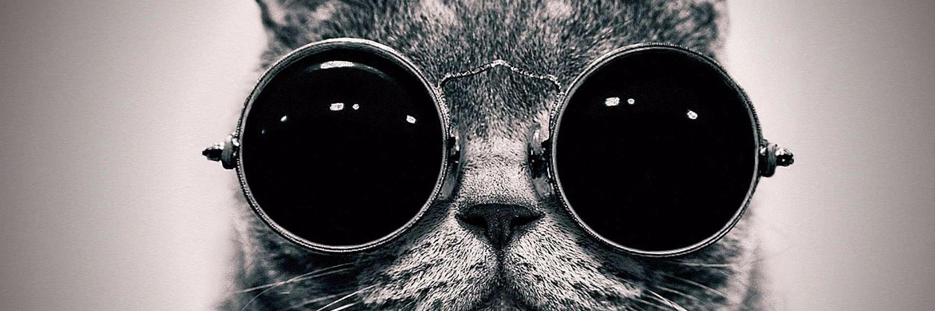 Skrillexiscool's profile banner image