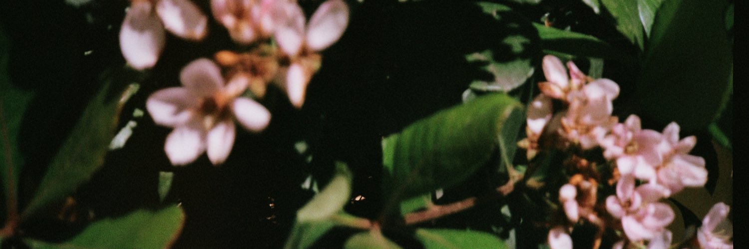 alexregz's profile banner image