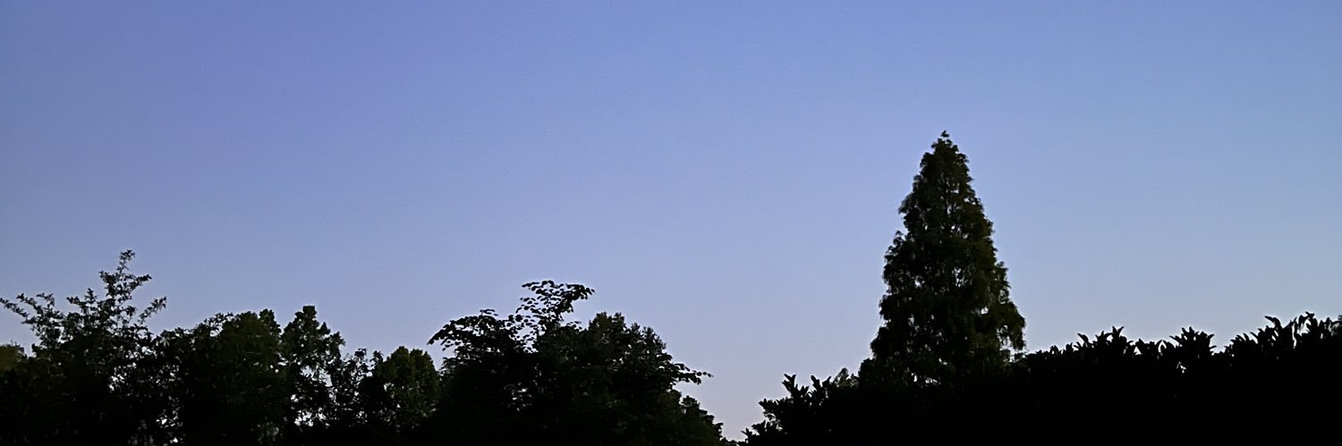 hamzalla0's profile banner image