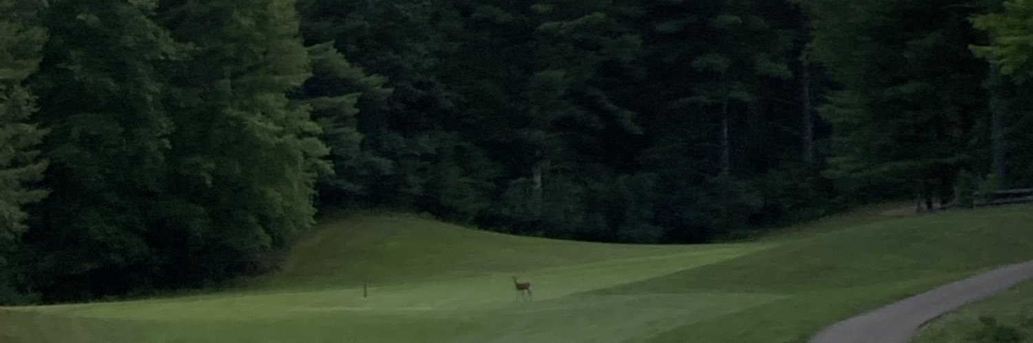 trevor_sloth's profile banner image